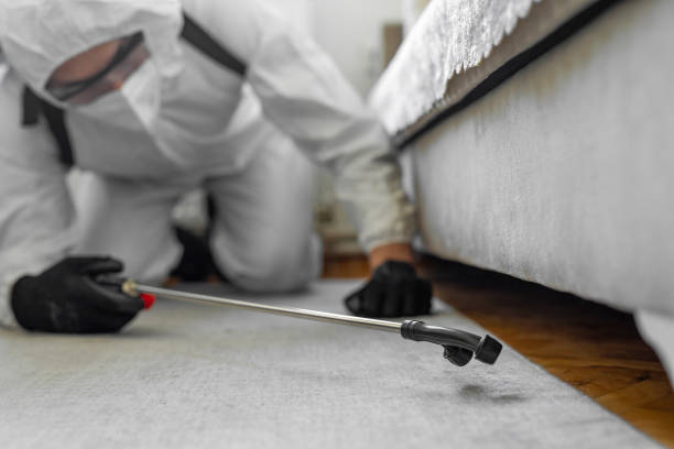 Professional Mosquito Control technician working in The Galena Territory, IL