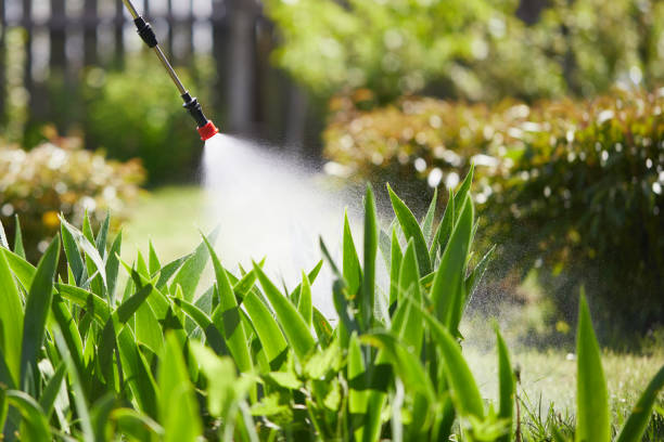 24/7 Emergency Mosquito Control experts in The Galena Territory, IL