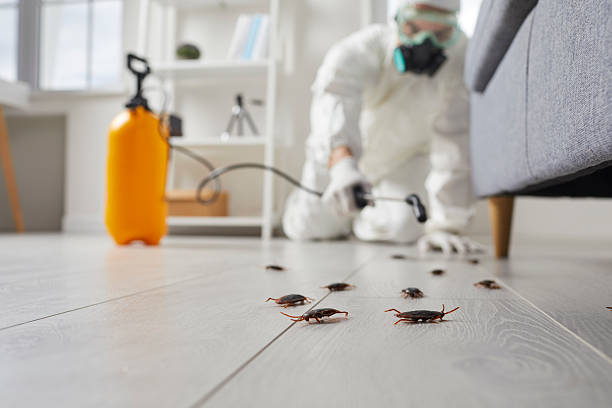 Trusted Cockroach Control service in The Galena Territory, IL - Nex Pest Control