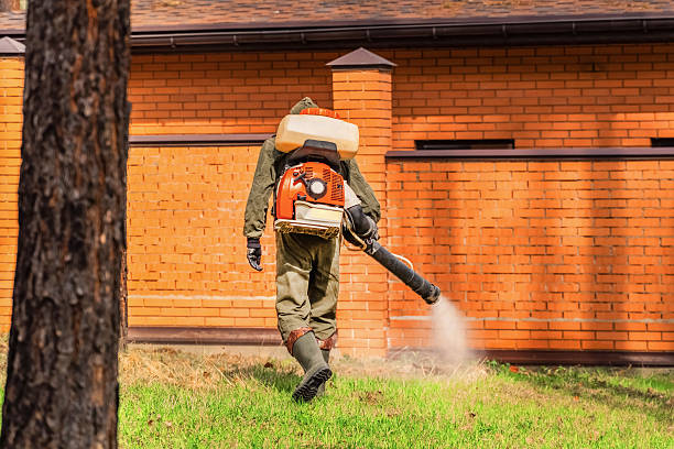 Trusted Termite Control service in The Galena Territory, IL - Nex Pest Control